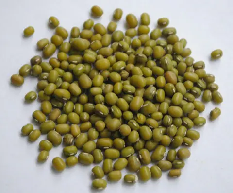 Green grams (ndengu) production in Makueni County
