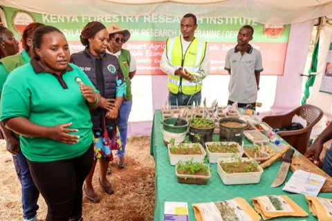 Certified tree and crop seedlings at the show