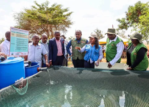 A fish farming demonstration in the county