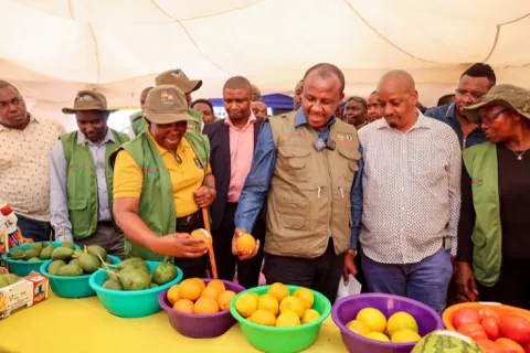 Officers inspecting produce at a county event