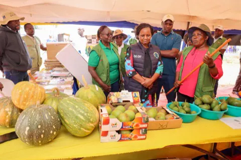 County produce on display