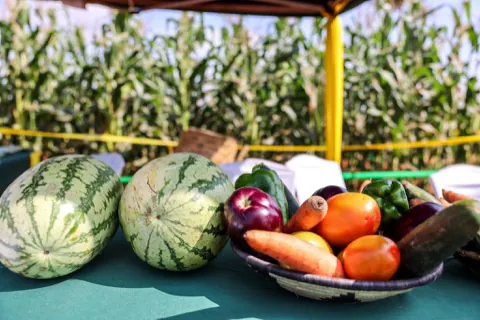 Watermelon and vegetables grown in the county