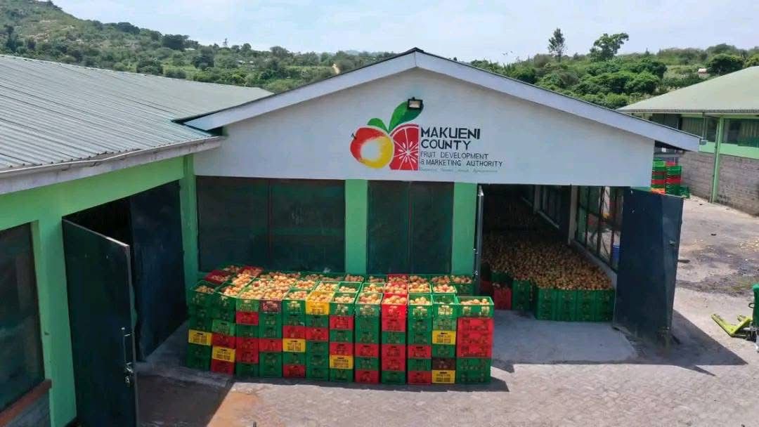 Mango Processing